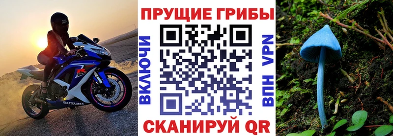 Псилоцибиновые грибы прущие грибы  как найти наркотики  omg вход  Лебедянь 